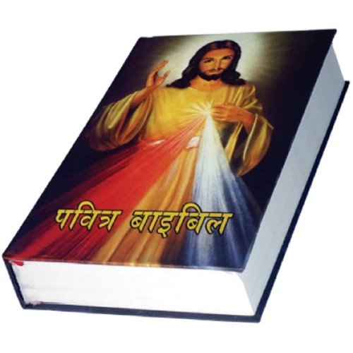 HOLY BIBLE - HINDI (POTTA)