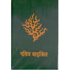HOLY BIBLE - HINDI