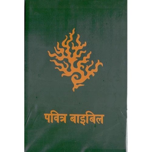HOLY BIBLE - HINDI