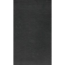 HOLY BIBLE - GUJARATHI