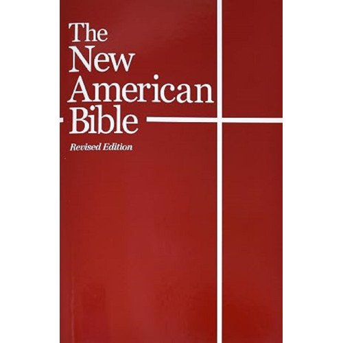 NEW AMERIACAN BIBLE (LARGE TYPE)