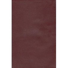 NEW TESTAMENT - HINDI (DEMI SIZE)
