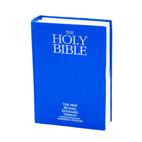 HOLY BIBLE NRSV -TPI