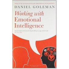 EMOTIONAL INTELLIGENCE, WORKING WITH EMOTIONAL INTELLIGENCE