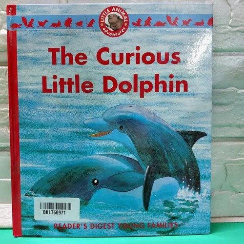 CURIOUS LITTLE DOLPHIN