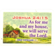 Joshua-24