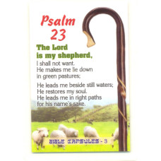 Ps.23