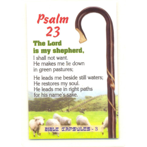 Ps.23