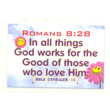 Romans 8:28